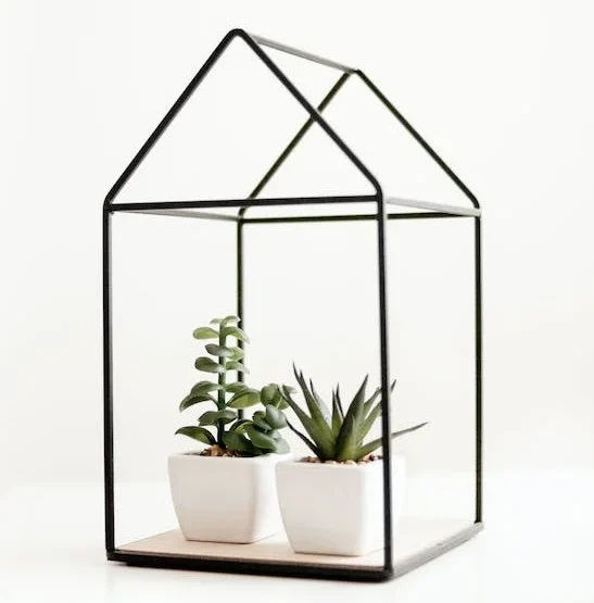 pexels-photo-1877878 A plant in a house shaped glass case.